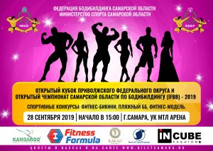 ПОЛОЖЕНИЕ КУБОК ПРИВОЛЖСКОГО ФЕДЕРАЛЬНОГО ОКРУГА 2019